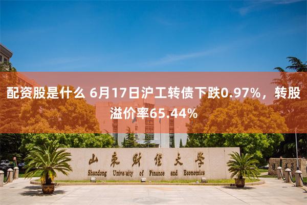   配资股是什么 6月17日沪工转债下跌0.97%，转股溢价率65.44%