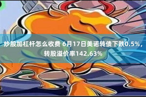 炒股加杠杆怎么收费 6月17日美诺转债下跌0.5%，转股溢价率142.63%