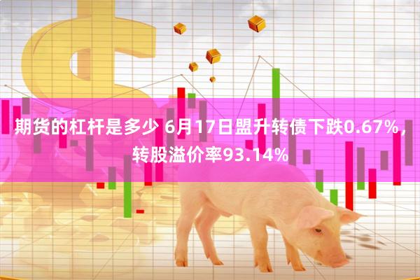 期货的杠杆是多少 6月17日盟升转债下跌0.67%，转股溢价率93.14%