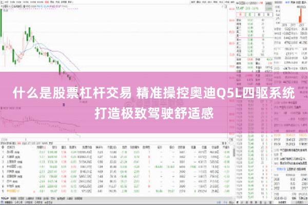 什么是股票杠杆交易 精准操控奥迪Q5L四驱系统打造极致驾驶舒适感