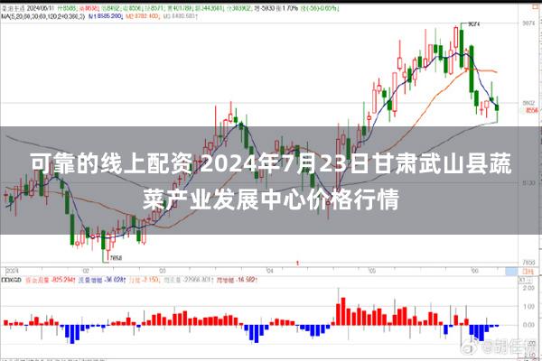 可靠的线上配资 2024年7月23日甘肃武山县蔬菜产业发展中心价格行情