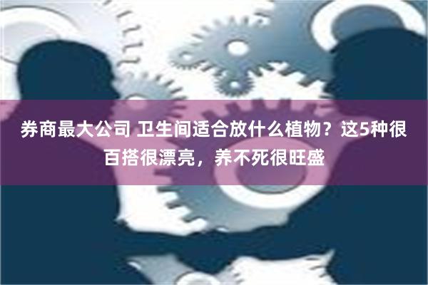 券商最大公司 卫生间适合放什么植物？这5种很百搭很漂亮，养不死很旺盛