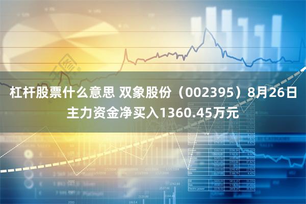 杠杆股票什么意思 双象股份（002395）8月26日主力资金