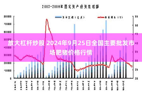 放大杠杆炒股 2024年9月25日全国主要批发市场肥猪价格行情