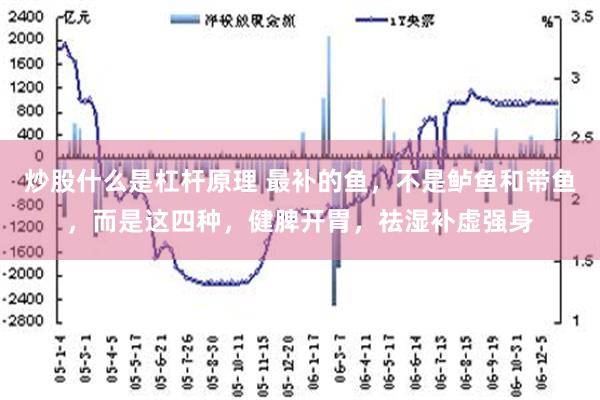 炒股什么是杠杆原理 最补的鱼，不是鲈鱼和带鱼，而是这四种，健脾开胃，祛湿补虚强身