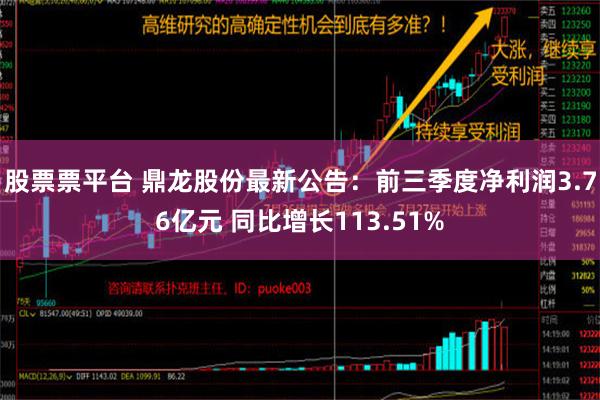 股票票平台 鼎龙股份最新公告：前三季度净利润3.76亿元 同