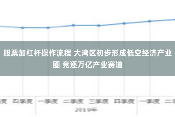 股票加杠杆操作流程 大湾区初步形成低空经济产业圈 竞逐万亿产