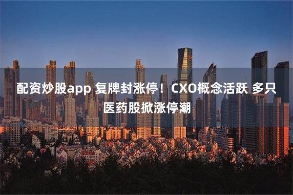 配资炒股app 复牌封涨停！CXO概念活跃 多只医药股掀涨停