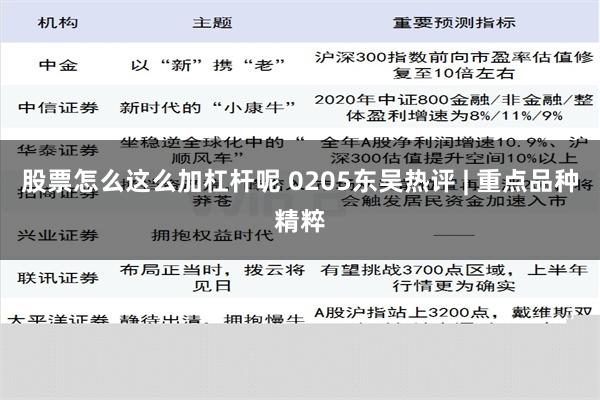 股票怎么这么加杠杆呢 0205东吴热评 | 重点品种精粹