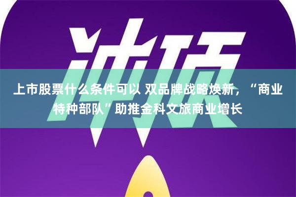 上市股票什么条件可以 双品牌战略焕新，“商业特种部队”助推金